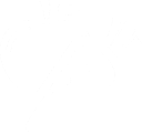 Nutrition Icon